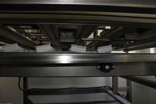 2010_macho_sobao_014