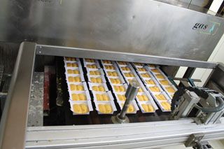 2010_macho_sobao_017