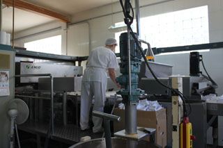 2010_macho_sobao_022