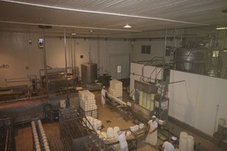 2010_pasi_pen_013