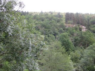 2010_tiemblos_002