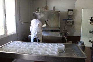 2010_tiemblos_006