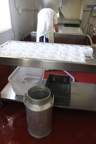 2010_tiemblos_009