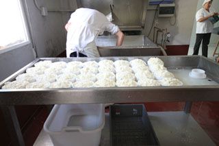 2010_tiemblos_012