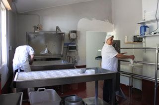 2010_tiemblos_013