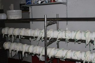 2010_tiemblos_013