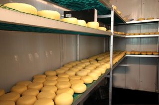 2010_tiemblos_017