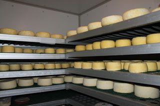 2010_tiemblos_019