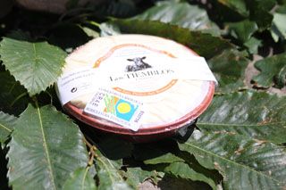 2010_tiemblos_025