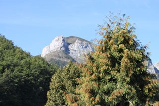 pido_01_001