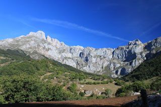 pido_01_003