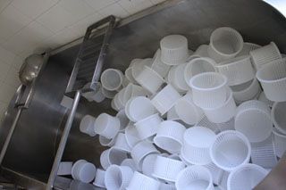 pido_01_011