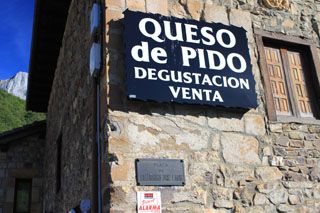 pido_01_029
