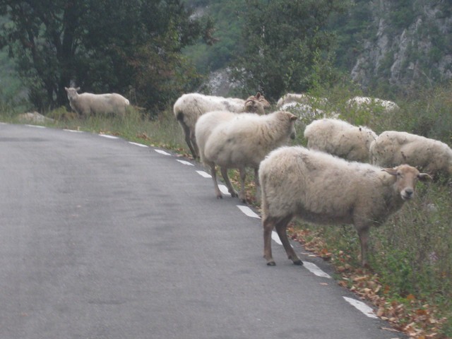 2010 03 alles 001
