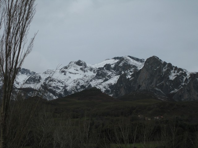 2010 12 branas pendes 002