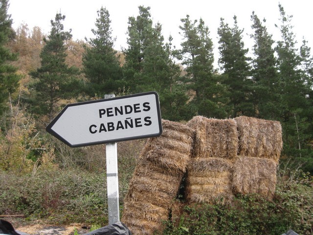 2010 12 branas pendes 005