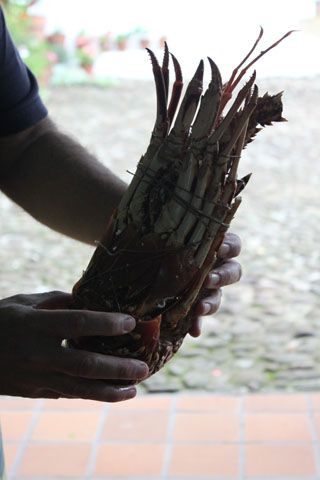 IMG_5752