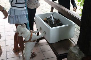 IMG_5793