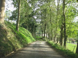 fuentecasares_004