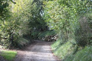 fuentecasares_018