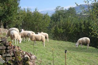 fuentecasares_021