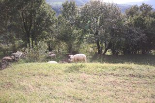fuentecasares_022