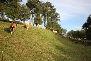 fuentecasares_025