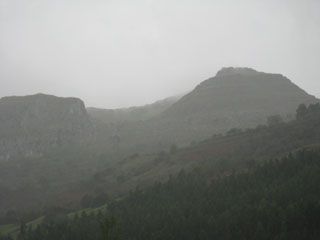 granja_vina_003