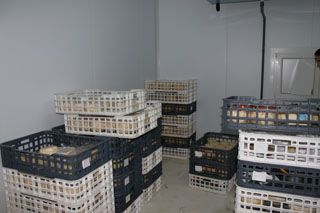 granja_vina_016