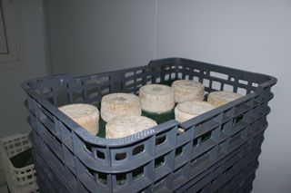granja_vina_017