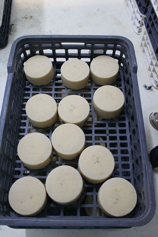 granja_vina_019
