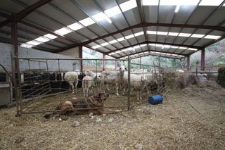 granja_vina_024