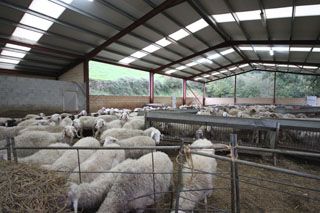 granja_vina_025