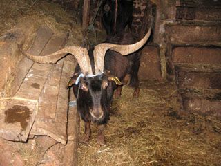 granja_vina_032