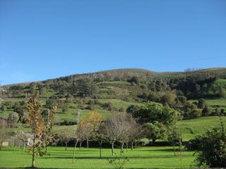 2010_bos_002