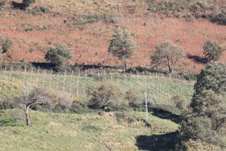 2010_bos_006