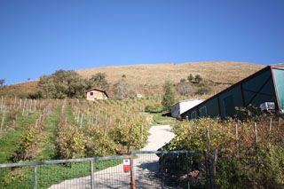 2010_bos_007