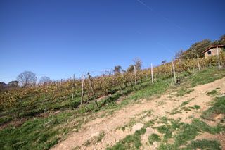 2010_bos_013