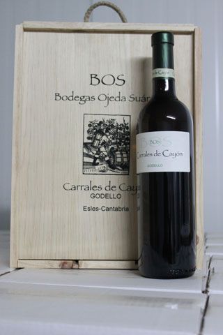 2010_bos_039