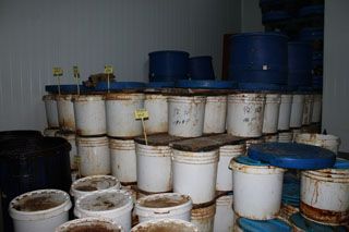 2010_libe_004