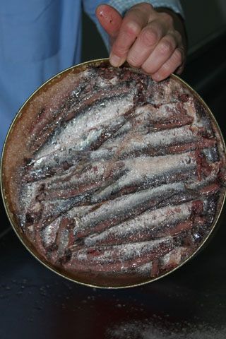 2010_libe_007