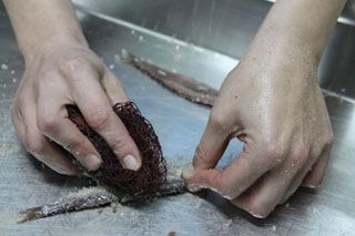 2010_libe_011
