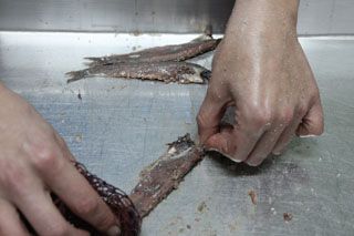2010_libe_012_1