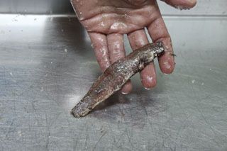 2010_libe_015