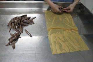 2010_libe_020