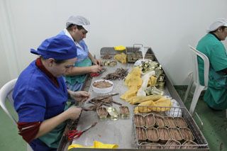 2010_libe_026