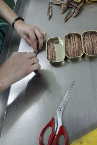 2010_libe_030