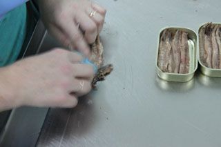 2010_libe_034