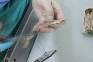 2010_libe_036