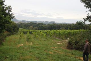 IMG 4516